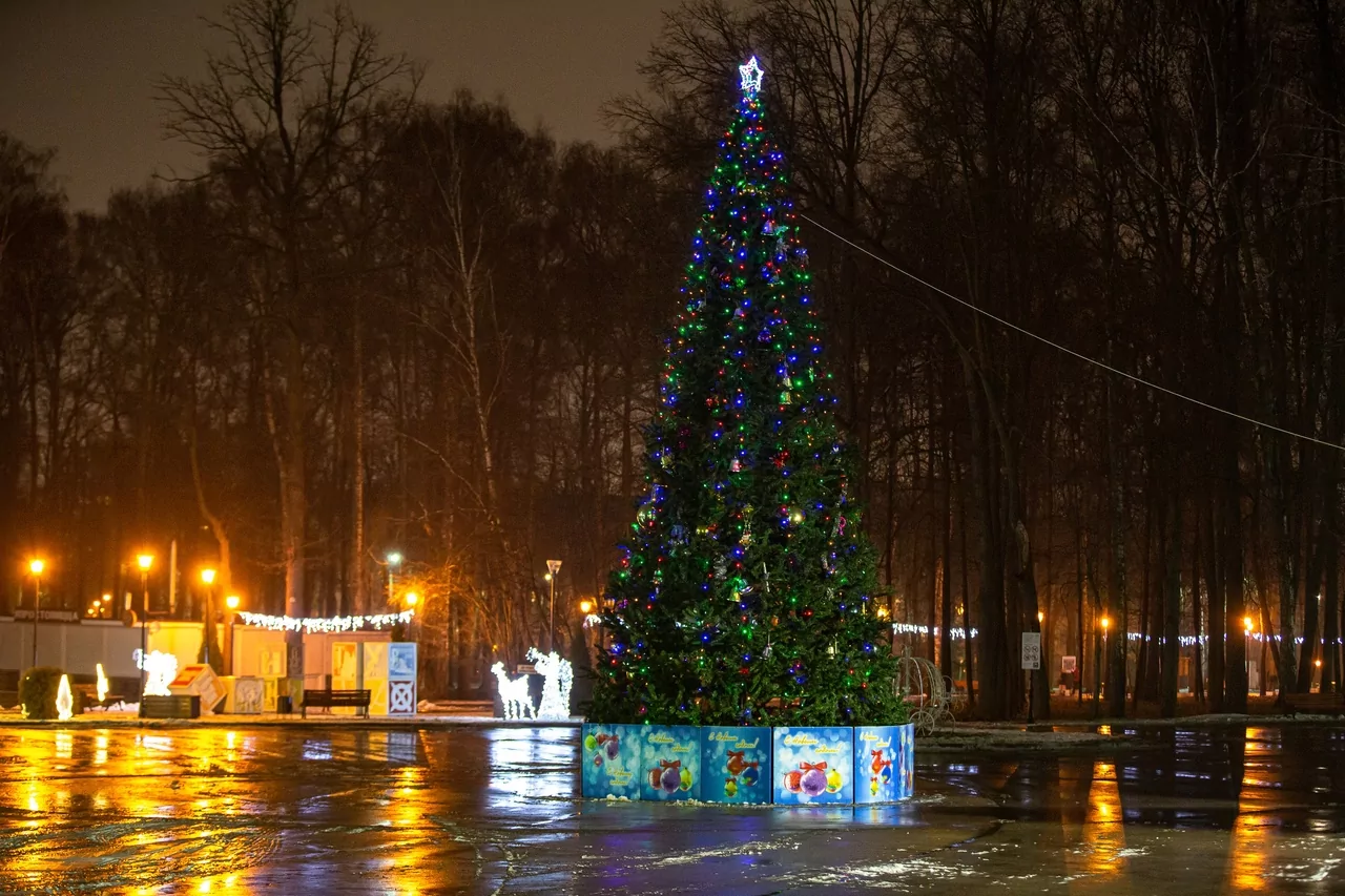 Ночная Тула: публикуем предновогодний фоторепортаж с улиц города