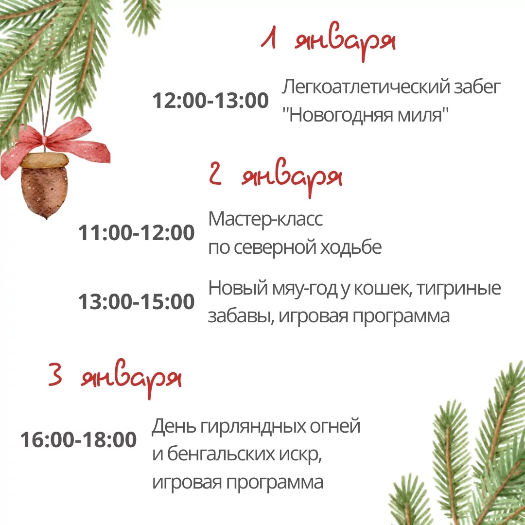 От парка "Патриот" до Казанской набережной: где и как будут развлекать туляков на каникулах