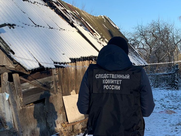 Пьяный житель Чернского района до смерти забил сожительницу черенком от лопаты