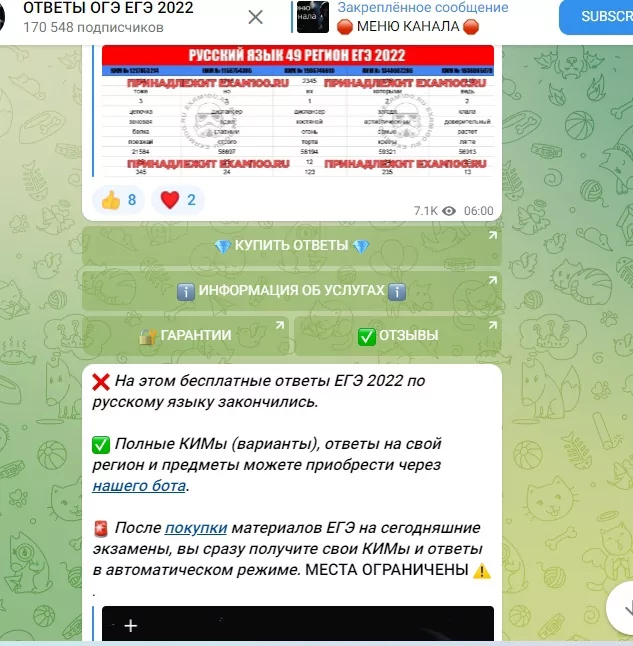 Тульских выпускников предупреждают о мошенниках-продавцах ЕГЭ