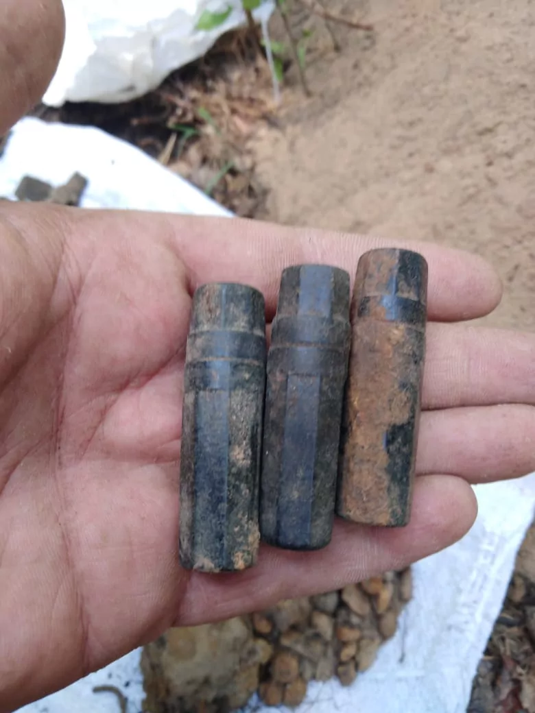 В Тульской области поисковики нашли останки 23 красноармейцев