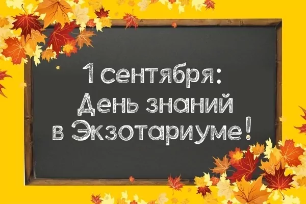 Экзотариум приглашает туляков отпраздновать День знаний