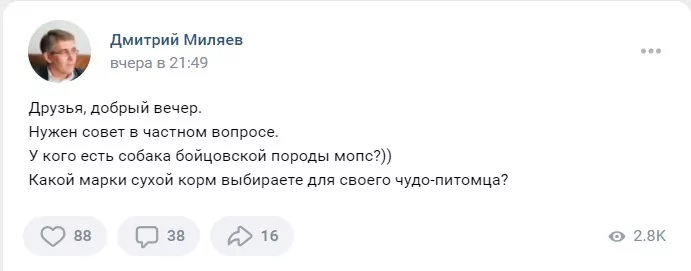 Чем кормить мопса: глава администрации попросил совета у туляков