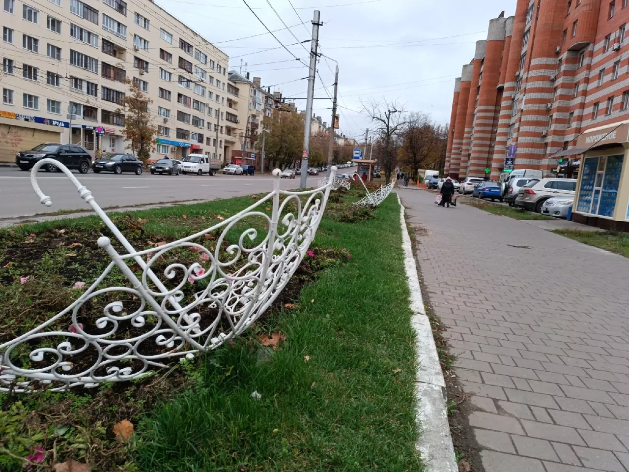 В Туле высадят 150 тысяч луковиц тюльпанов