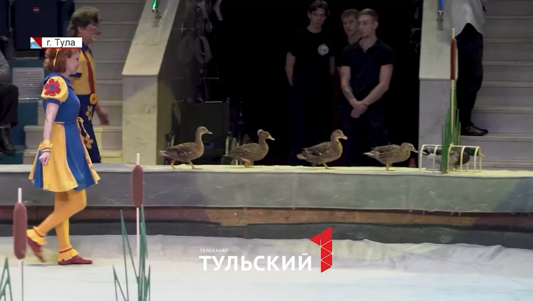 Волшебство на манеже – лучшее лекарство: в Туле прошла акция «Доктор цирк»
