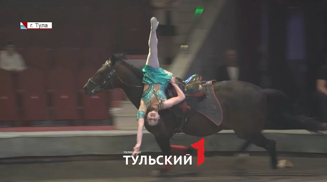 Волшебство на манеже – лучшее лекарство: в Туле прошла акция «Доктор цирк»