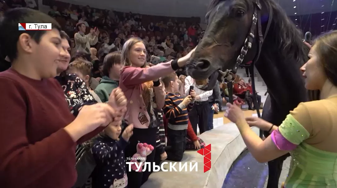 Волшебство на манеже – лучшее лекарство: в Туле прошла акция «Доктор цирк»