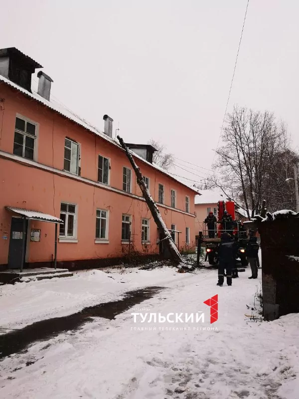В Туле на крышу двухэтажного дома от сильных порывов ветра упало дерево