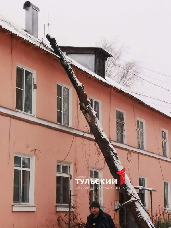 В Туле на крышу двухэтажного дома от сильных порывов ветра упало дерево
