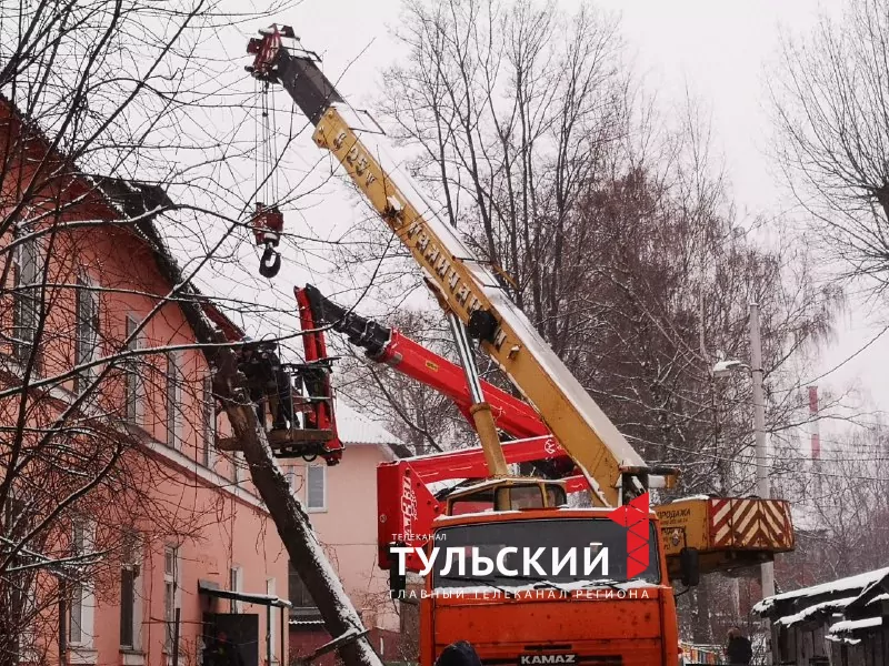 В Туле на крышу двухэтажного дома от сильных порывов ветра упало дерево