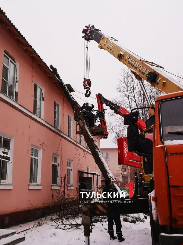 В Туле на крышу двухэтажного дома от сильных порывов ветра упало дерево