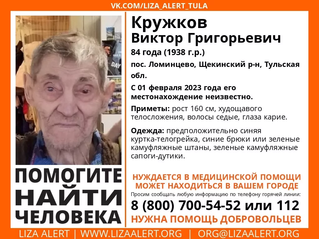 В Щекинском районе пропал 84-летний мужчина