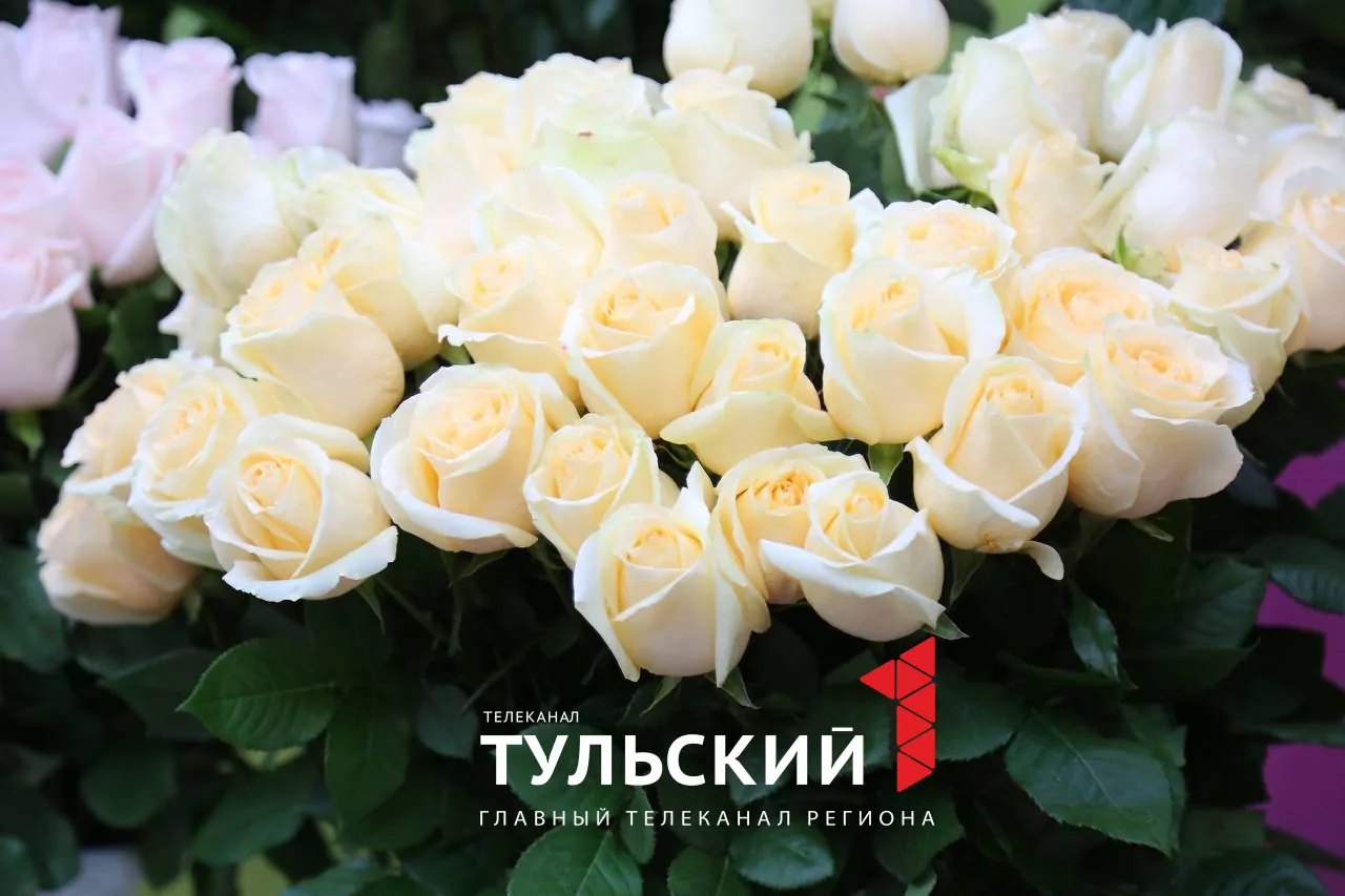Накануне 8 Марта цена на мимозу в Туле достигла 500 рублей за ветку