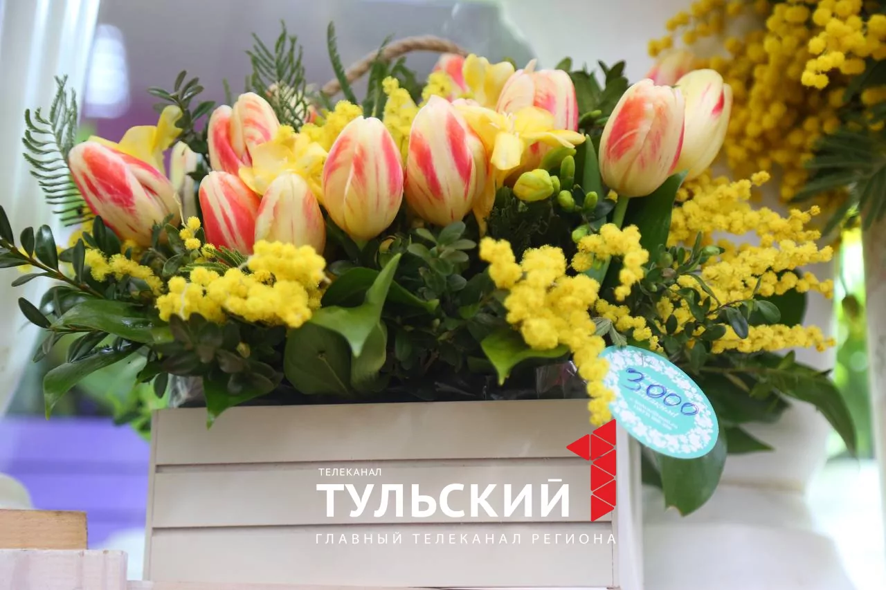 Накануне 8 Марта цена на мимозу в Туле достигла 500 рублей за ветку
