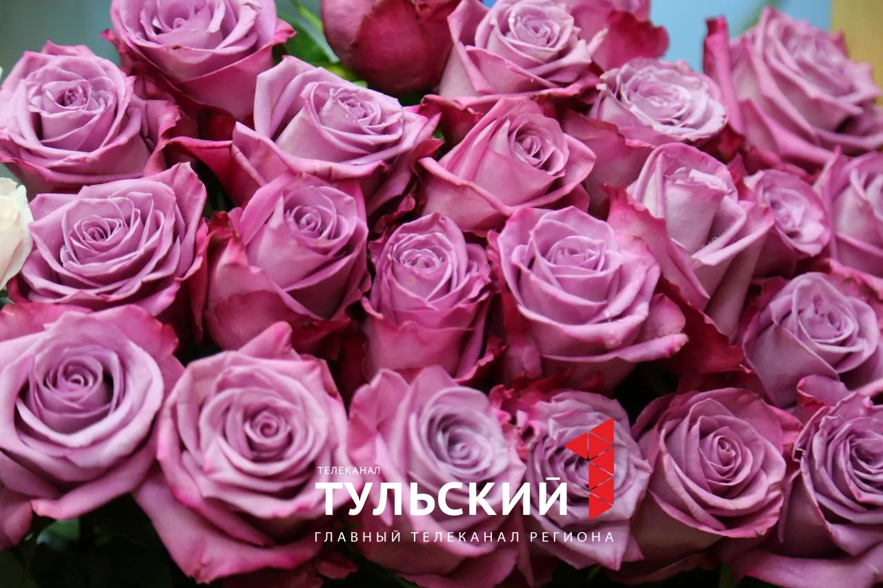 Накануне 8 Марта цена на мимозу в Туле достигла 500 рублей за ветку