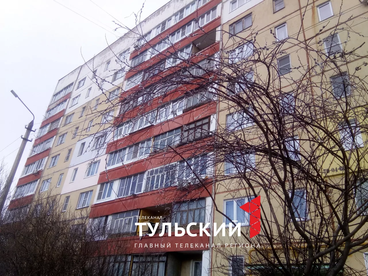 В Туле в середине марта зацвела верба и набухли почки на сирени