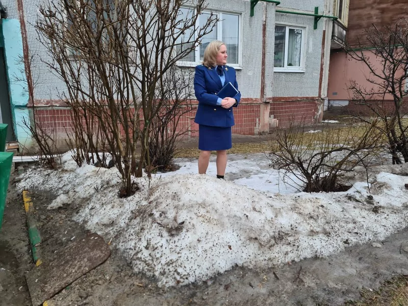 В Туле машина скорой помощи застряла в сугробе: прокуратура провела проверку