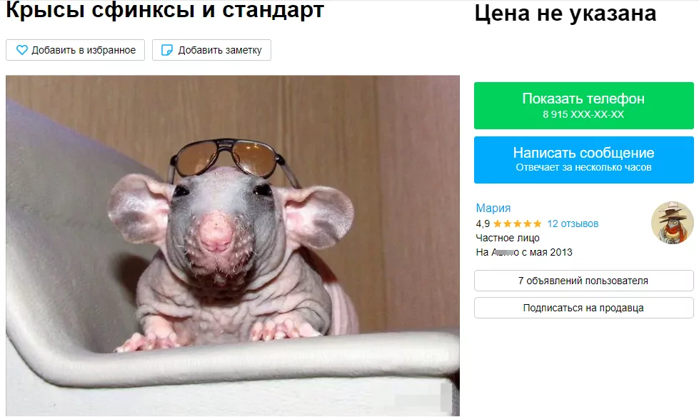 От обезьяны до бородатой агамы: каких необычных животных можно купить в Туле