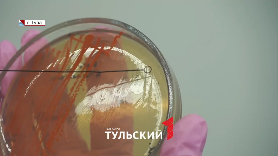 Туляки создали способ продления жизни биофильтров для очистки стоков