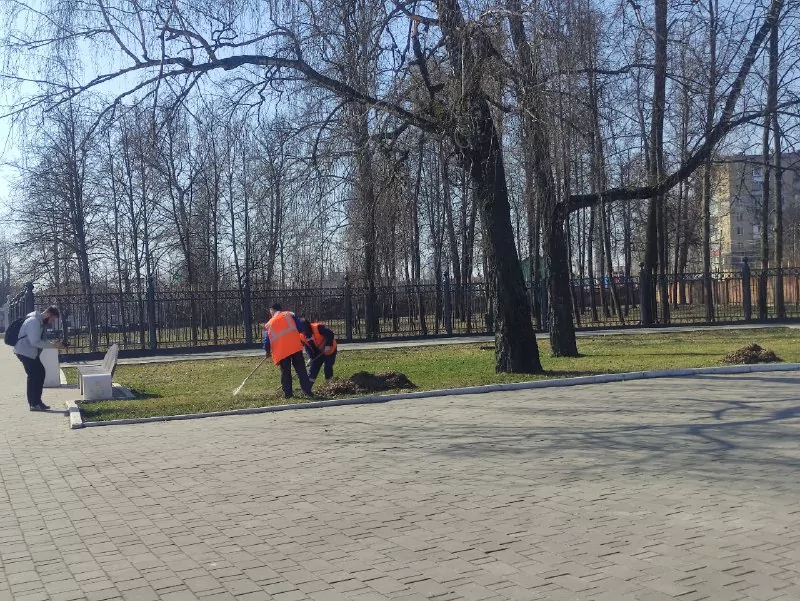 В Туле посчитали, сколько городских деревьев и кустарников нуждаются в уходе