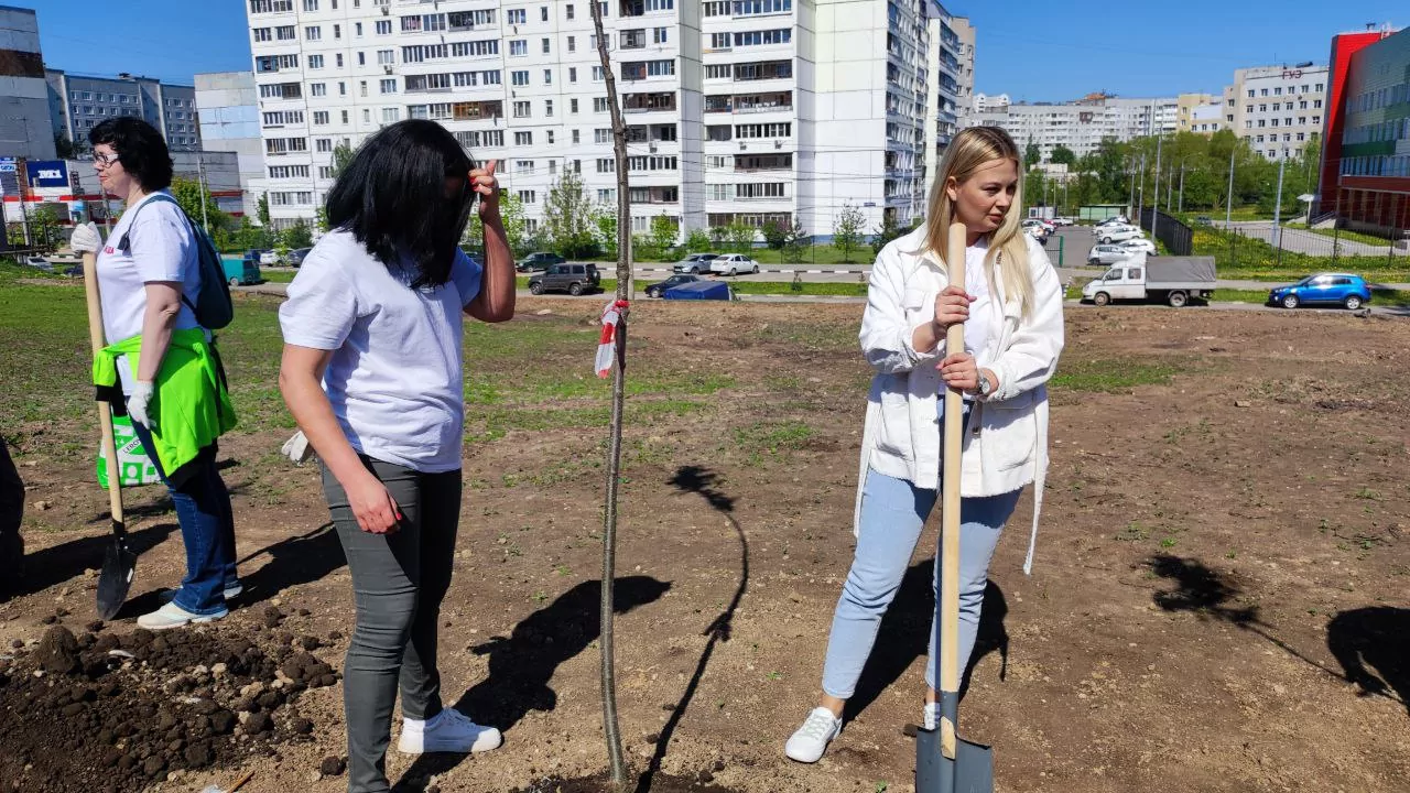 Редакция «Слободы» высадила черемуху на пустыре около тульского Перинатального центра