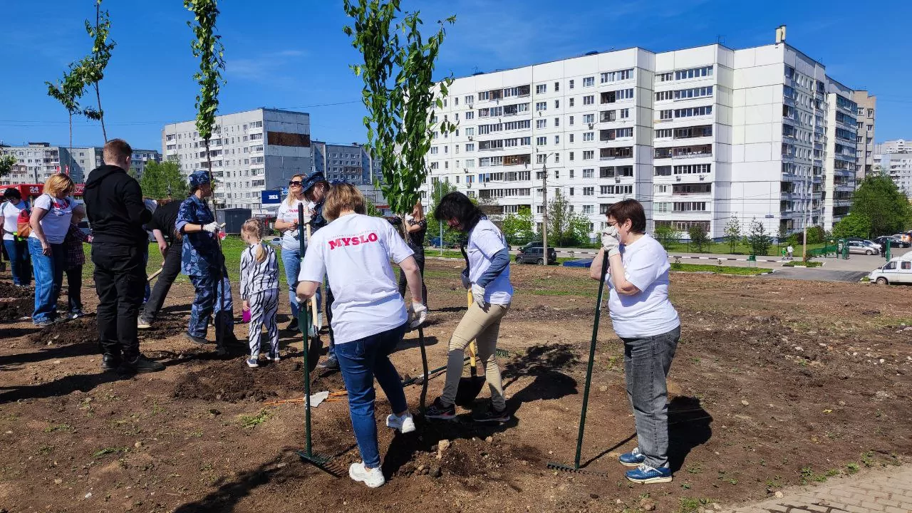 Редакция «Слободы» высадила черемуху на пустыре около тульского Перинатального центра