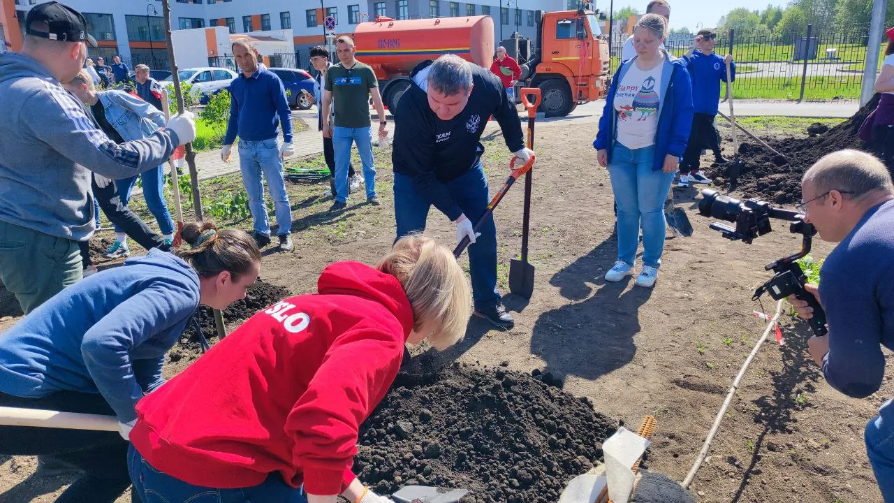 Редакция «Слободы» высадила черемуху на пустыре около тульского Перинатального центра