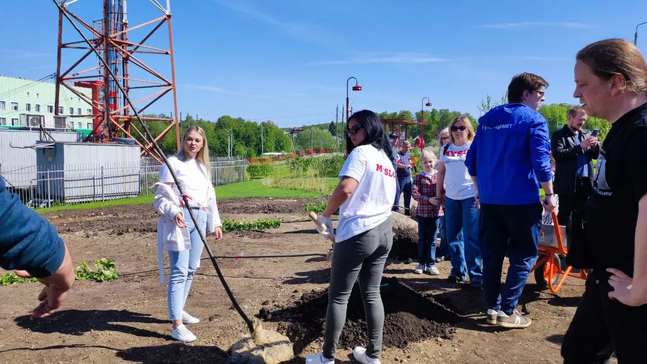 Редакция «Слободы» высадила черемуху на пустыре около тульского Перинатального центра