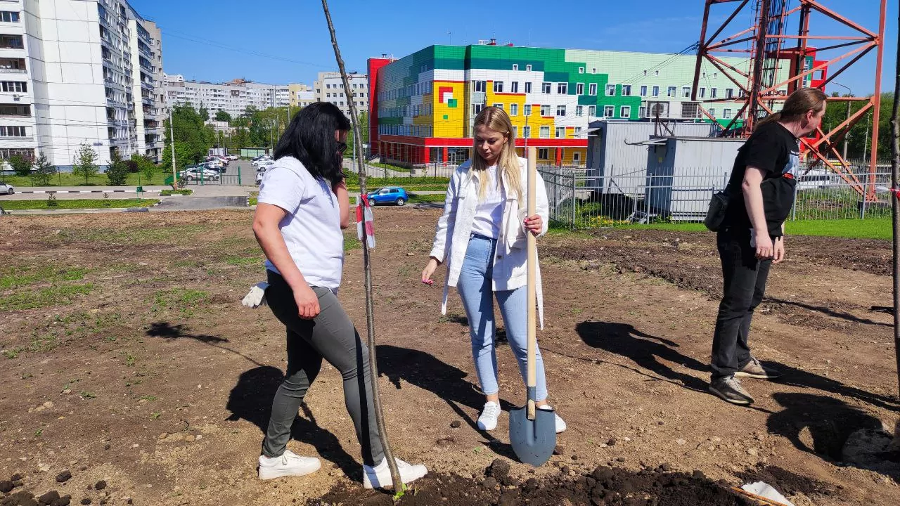 Редакция «Слободы» высадила черемуху на пустыре около тульского Перинатального центра
