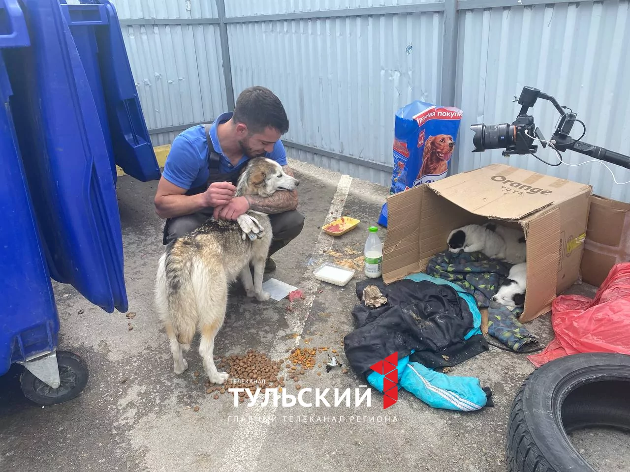 Туляки выбросили хаски с 5 щенками на мусорку