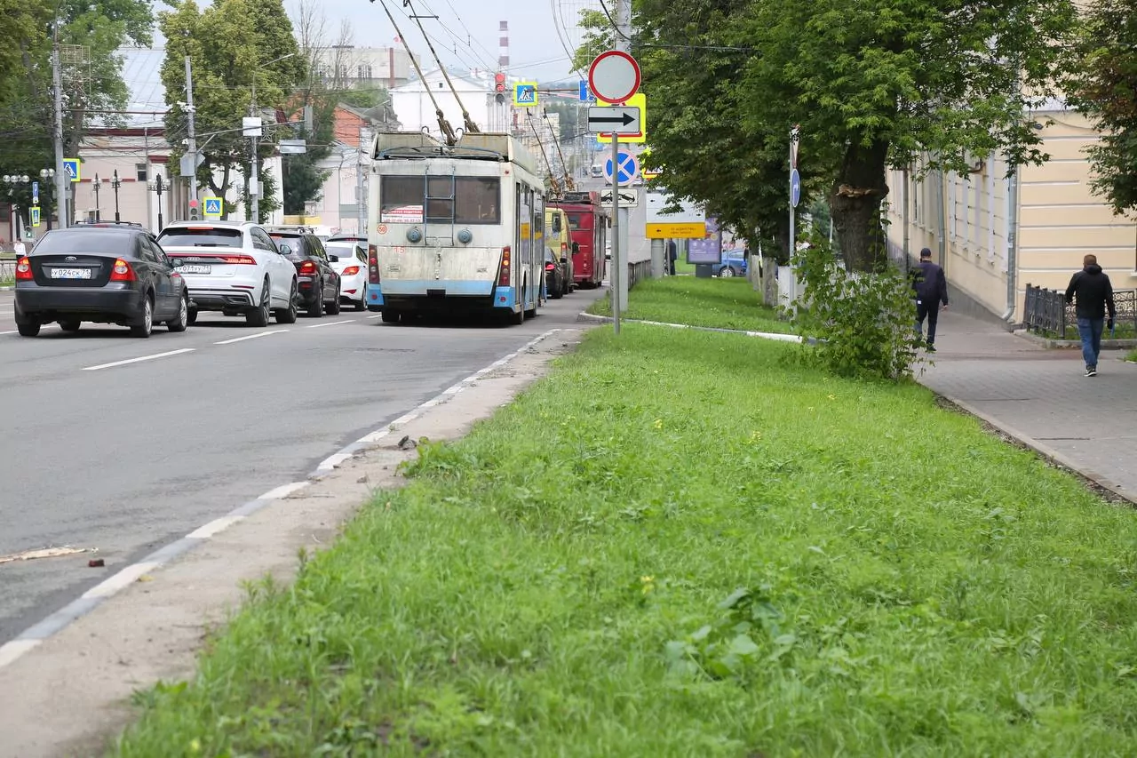 В Туле подвели первые итоги посева "жидких" газонов