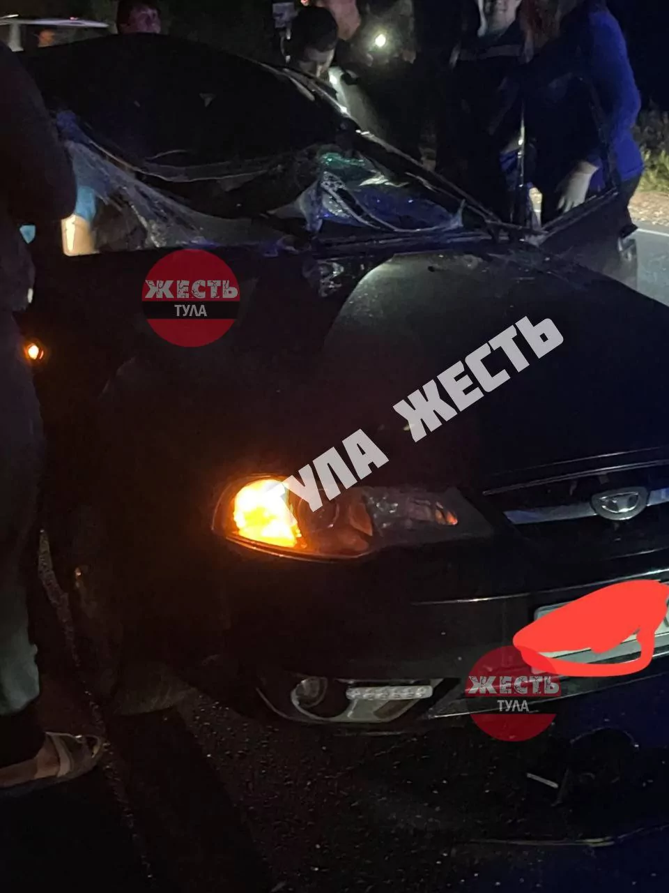 В Заокском районе из-за столкновения с лосем водитель Daewoo попал в больницу