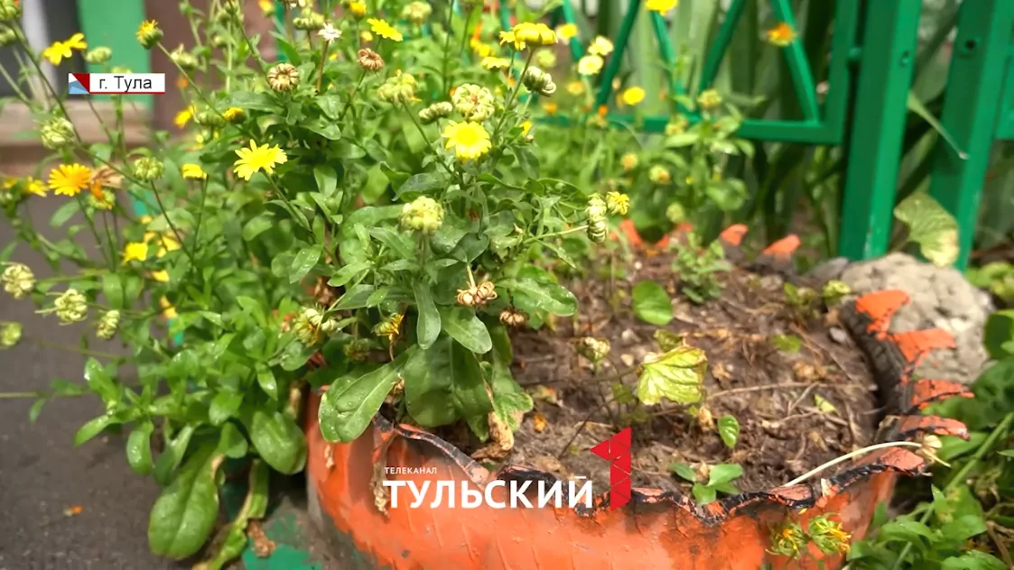 Какой штраф грозит тулякам за клумбы из старых покрышек