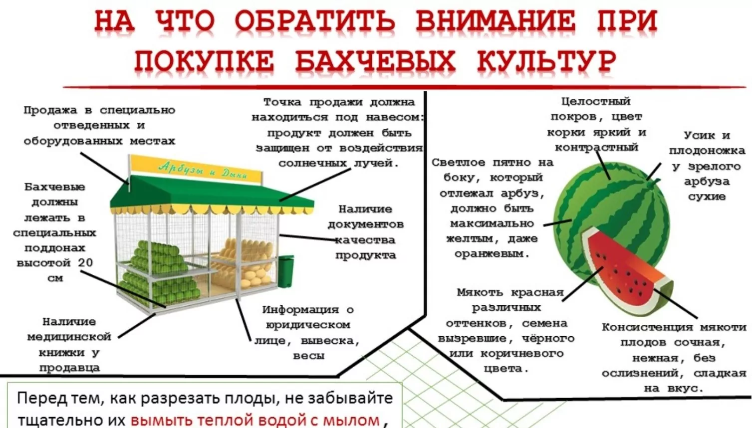 На что обращать внимание тулякам при покупке арбуза