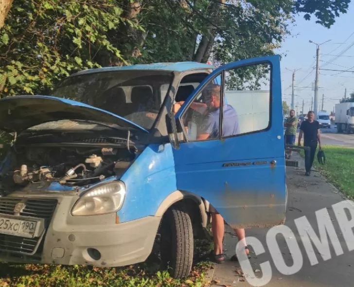 В тульском Заречье «Газель» врезалась в дерево