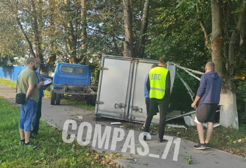 В тульском Заречье «Газель» врезалась в дерево
