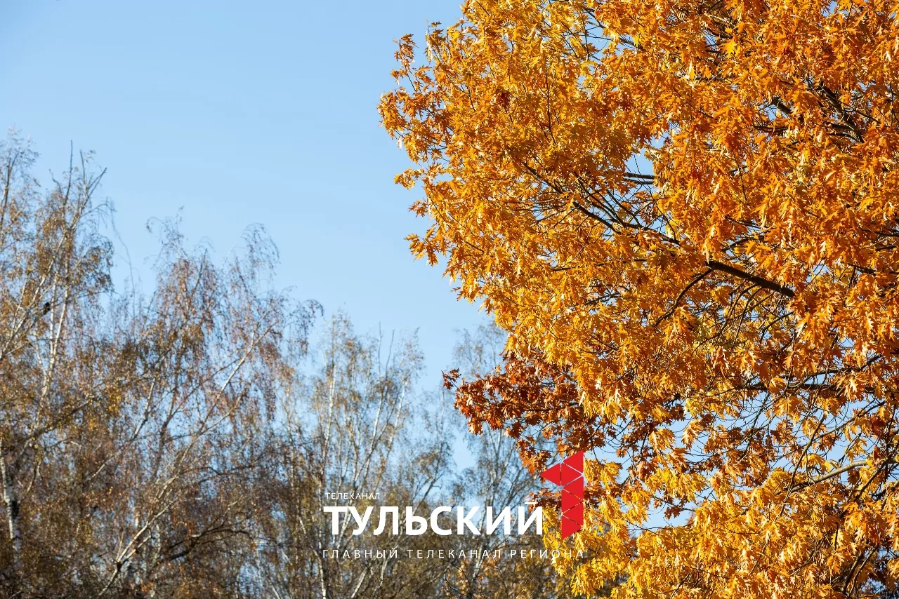Как туляки провели самое теплое 1 ноября в истории: фоторепортаж