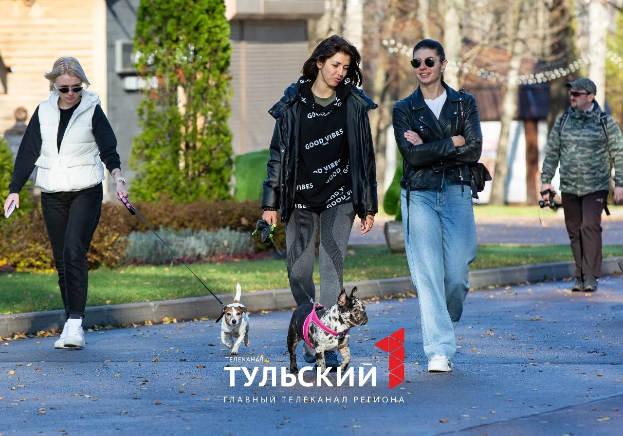 Как туляки провели самое теплое 1 ноября в истории: фоторепортаж