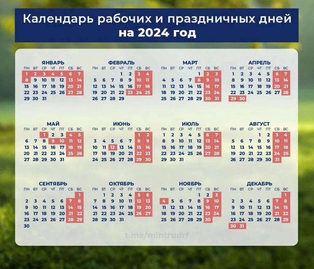 Туляков ждут 10-дневные новогодние каникулы