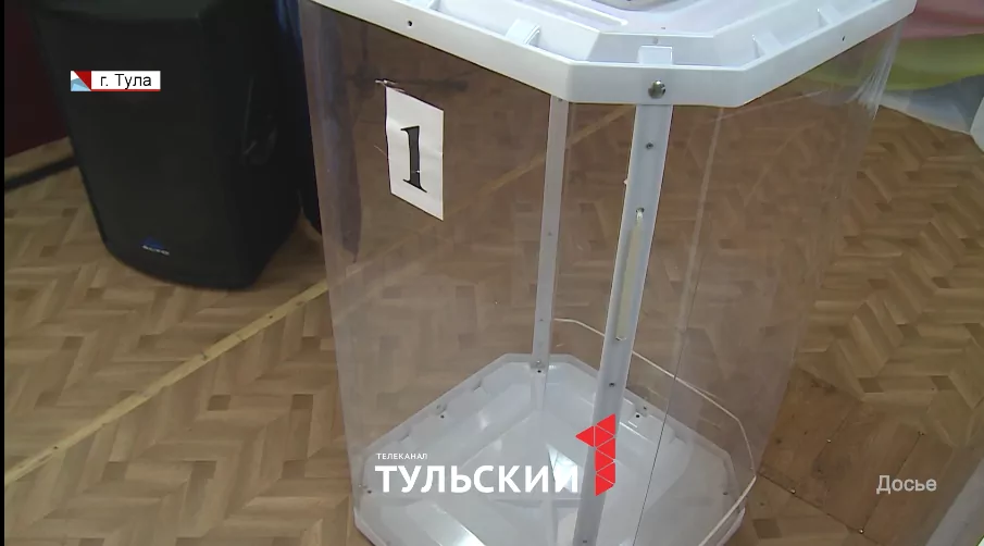 В Тульской области представители избиркома начали ходить по домам