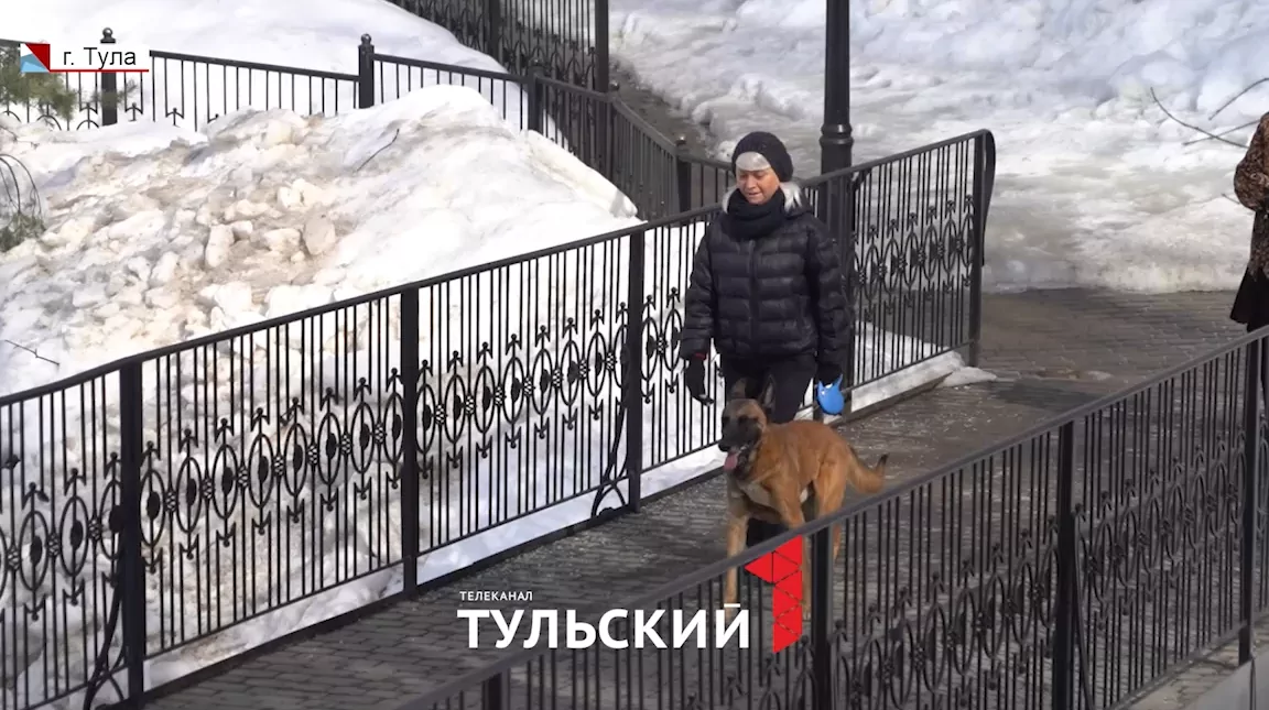 В Тульской области собакам запретят лаять по ночам и установят норматив по площади