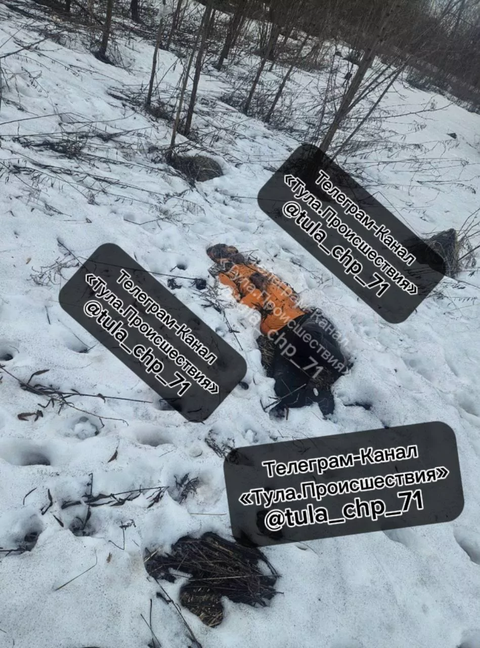 На Ивановских дачах в Туле нашли труп мужчины
