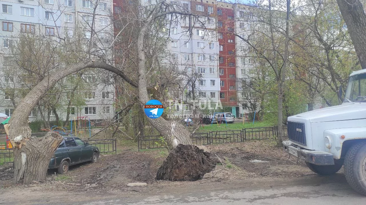 На улице Новомосковской в Туле два дерева рухнули на детскую площадку