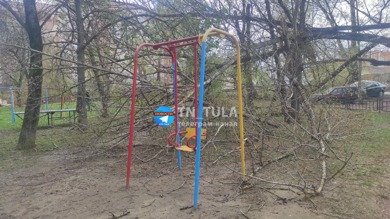 На улице Новомосковской в Туле два дерева рухнули на детскую площадку