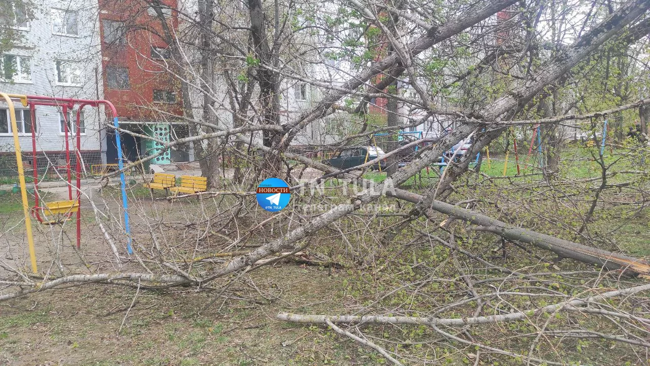 На улице Новомосковской в Туле два дерева рухнули на детскую площадку