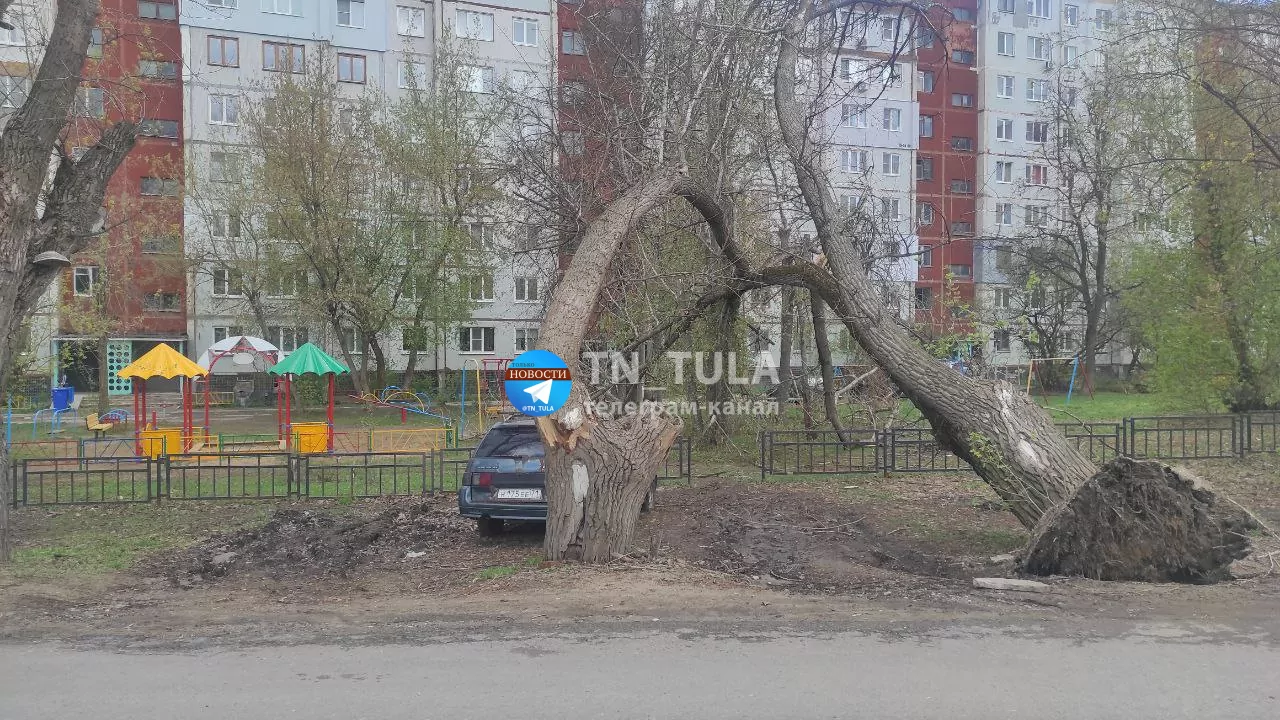 На улице Новомосковской в Туле два дерева рухнули на детскую площадку