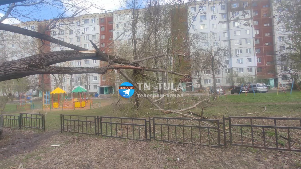 На улице Новомосковской в Туле два дерева рухнули на детскую площадку