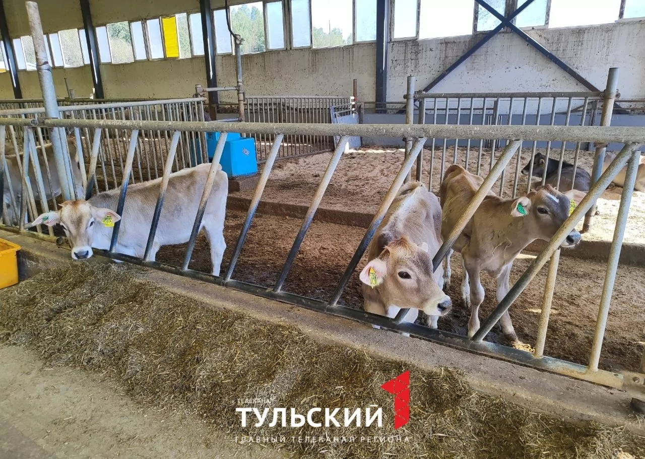 Дмитрий Миляев посетил сельхозпредприятие в Суворовском районе