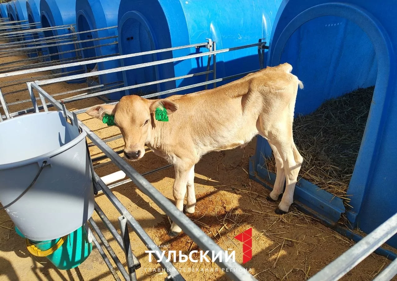 Дмитрий Миляев посетил сельхозпредприятие в Суворовском районе
