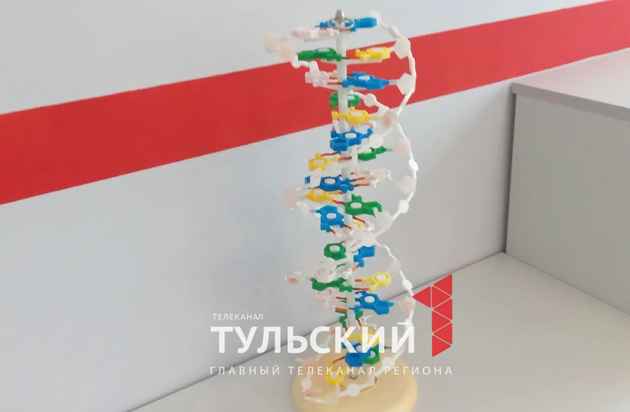Школьники из тульского поселка получили современную базу для занятий точными науками